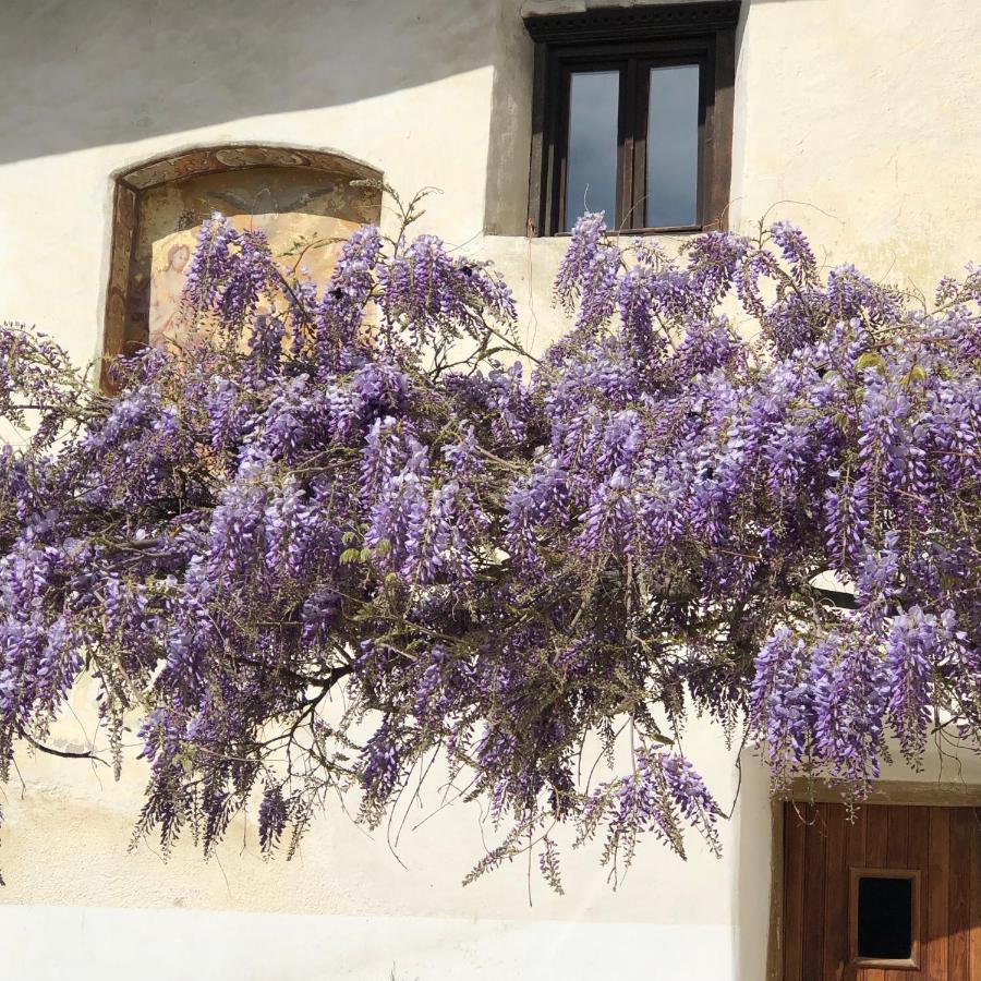 Agropobitzer Villa Malles Venosta Esterno foto